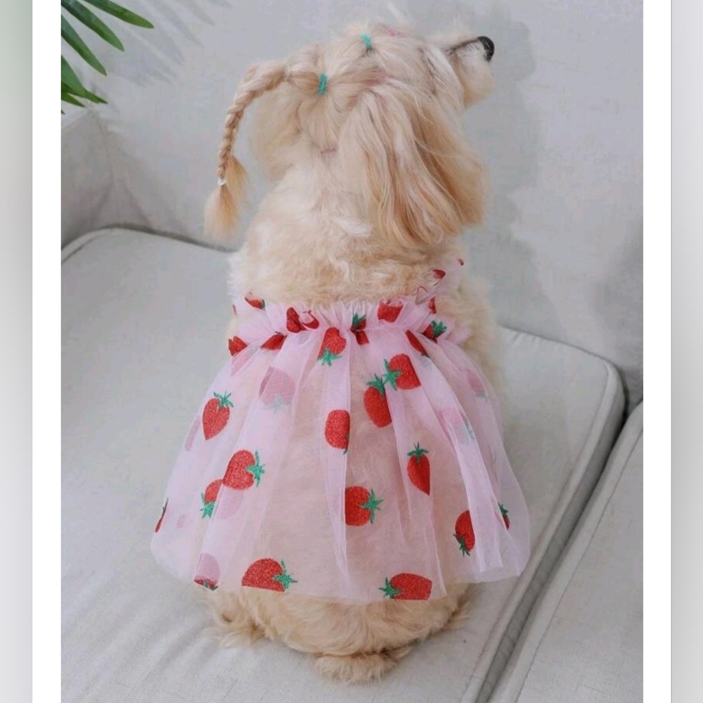 Strawberry Print Dog / Cat / Pet Dress 🍓